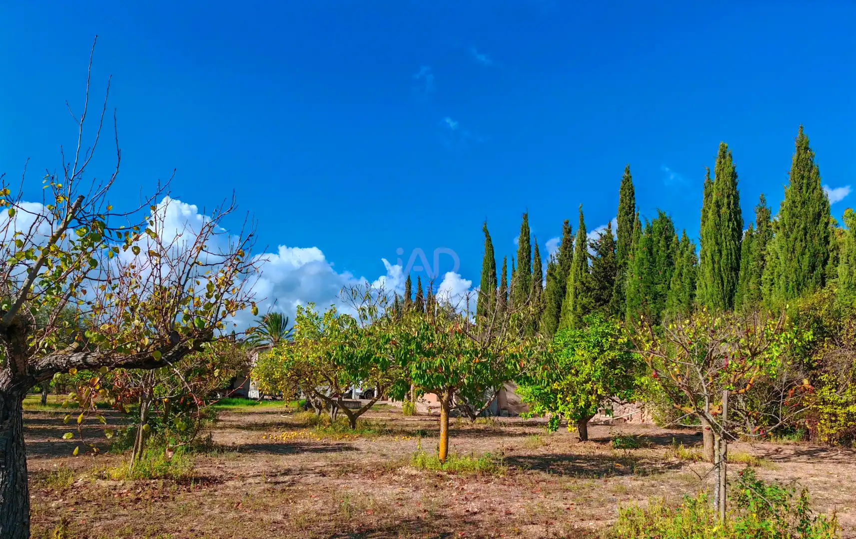 Houses for sale in  Palma de Mallorca
