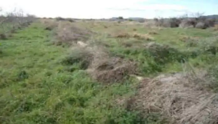 Rustikales Grundstück zum Verkauf in Pda  El Mansegar, imagen 5
