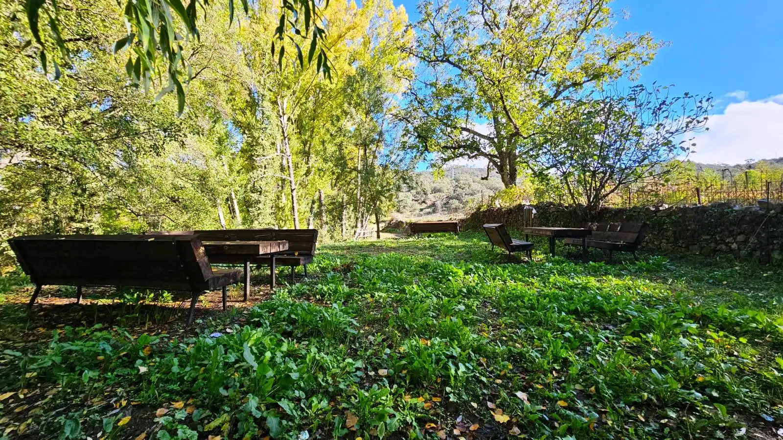 Terrenos y solares en venta en La Nava, imagen 12