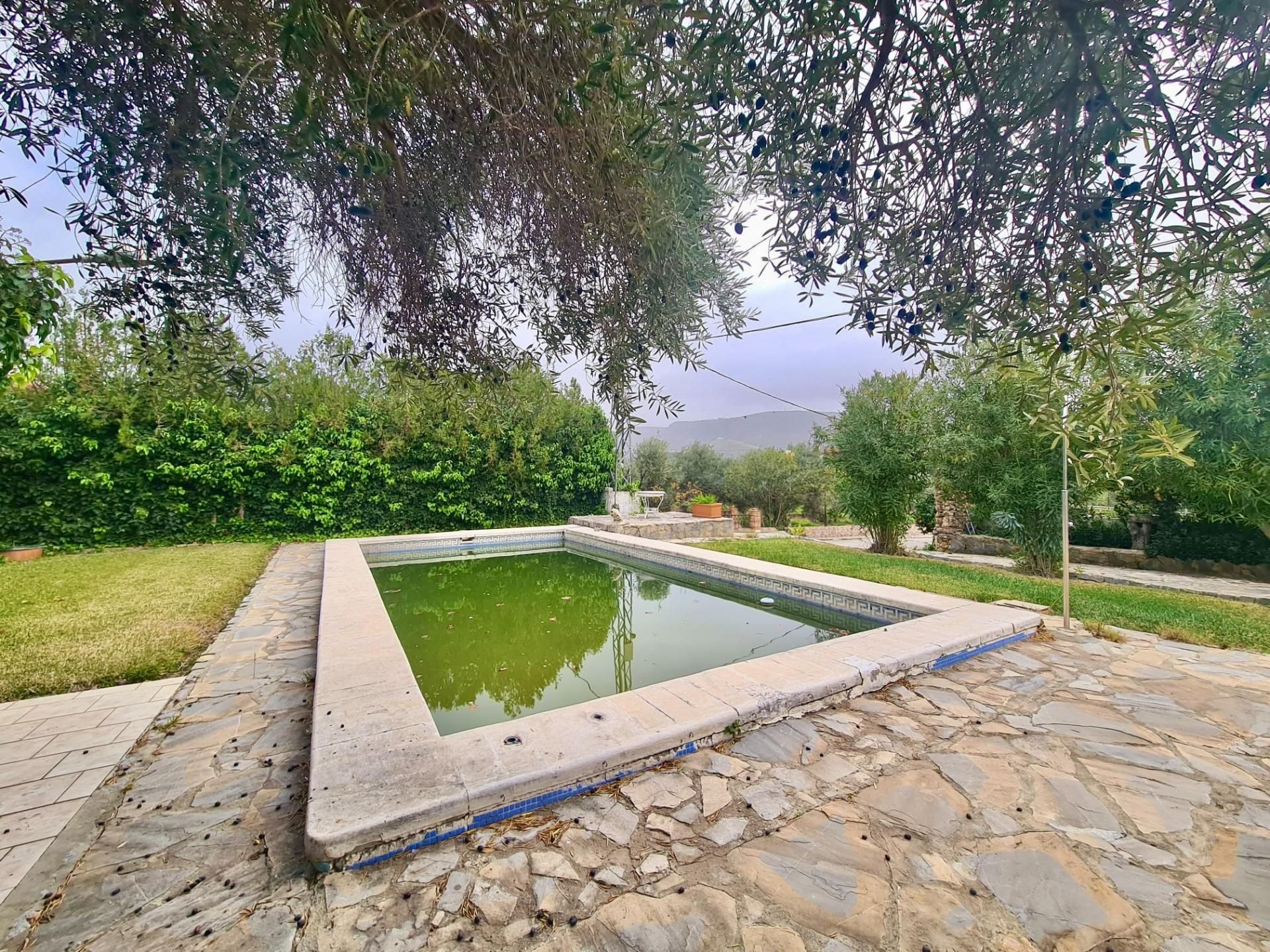 Piscina de Finca rústica en venda en Olvera amb Aire condicionat, Jardí privat i Traster