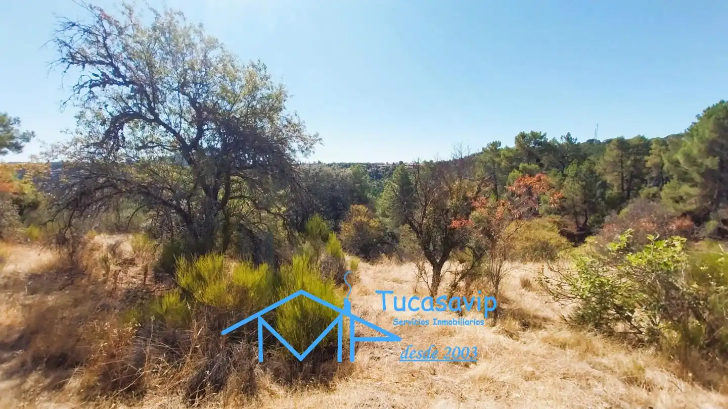 Terreno en venta en Cadalso de los Vidrios
