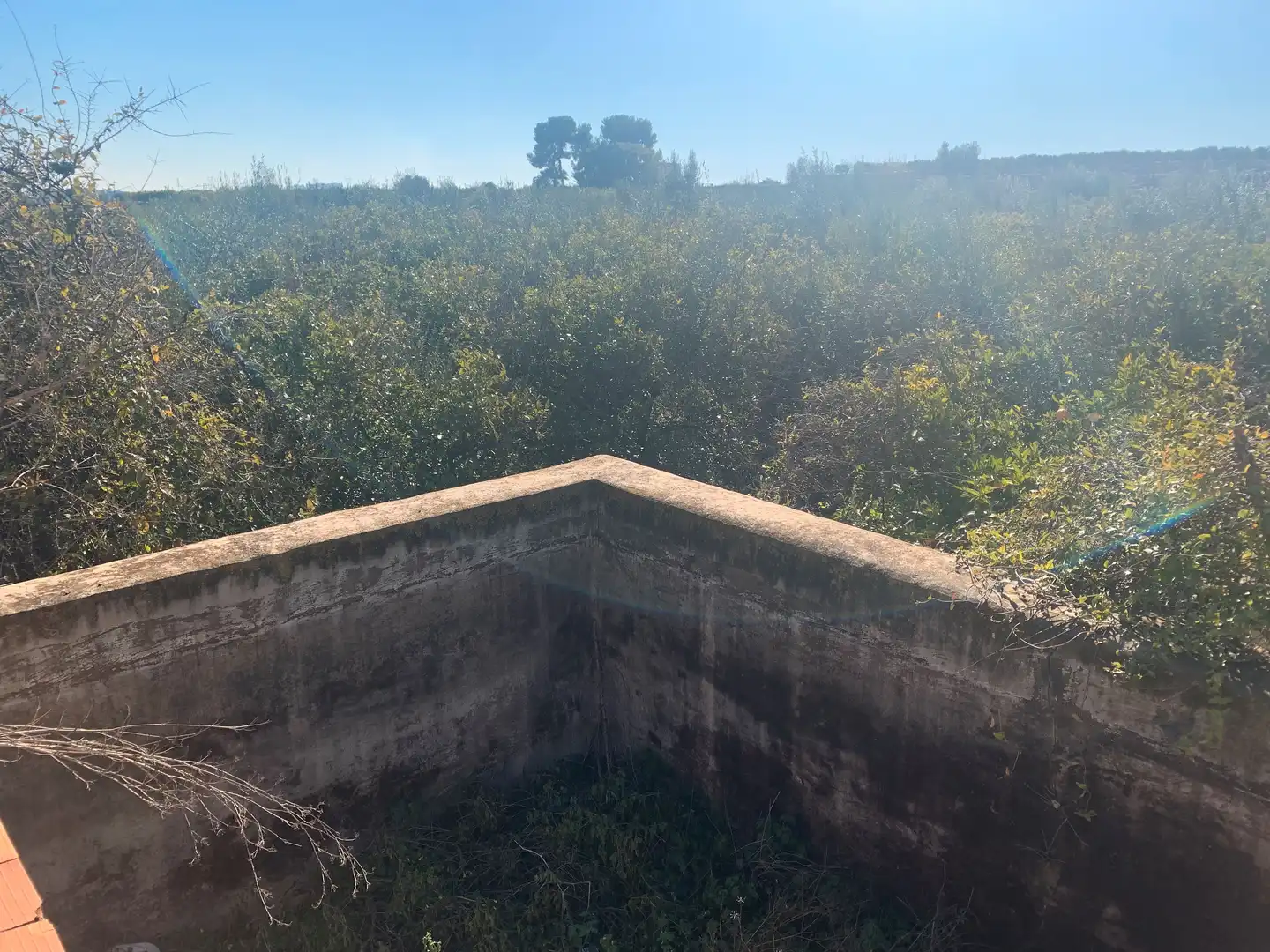 Land for sale in Picassent