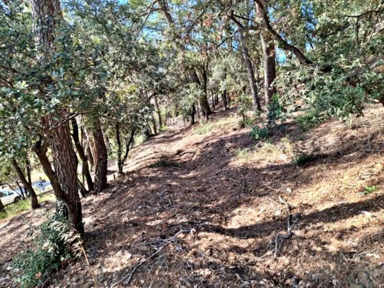 Rural land for sale in Calle Llosa, imagen 20