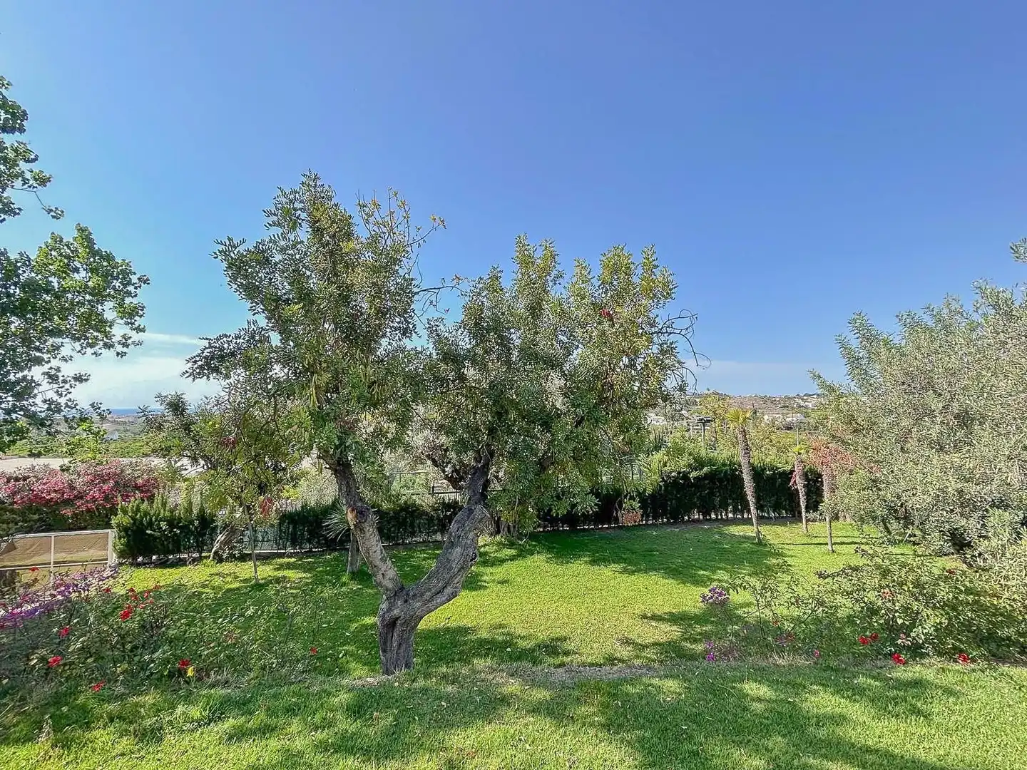 House for sale in Partida de Barranquet, imagen 9