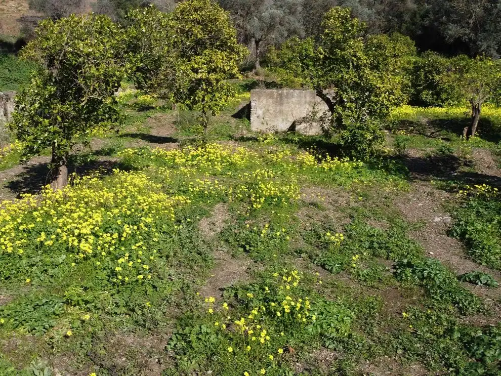 Terreno en venta en Málaga