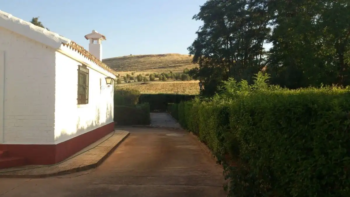Casa rústica en venda a Valdepeñas, imagen 24