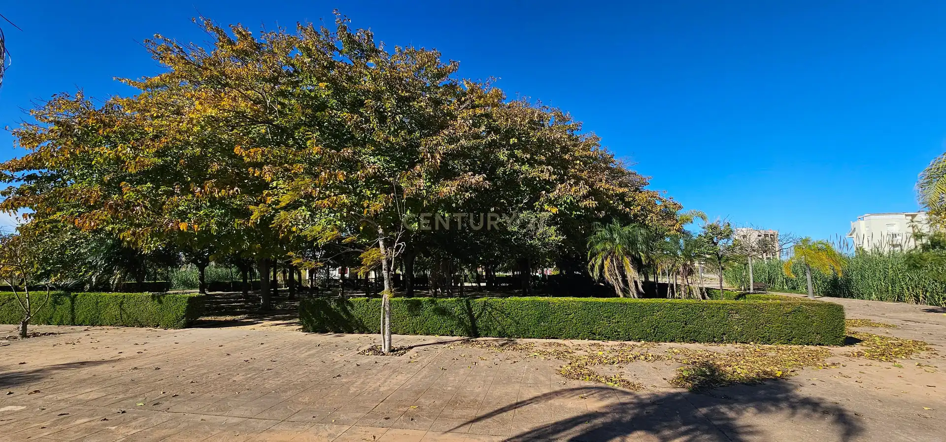 Residencial en venda a Carrer Mestral, 4, Piles, Spain, 4, Piles
