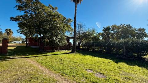 Photo 4 of Country house for sale in Tablero Bajo - Arruzafilla, Córdoba