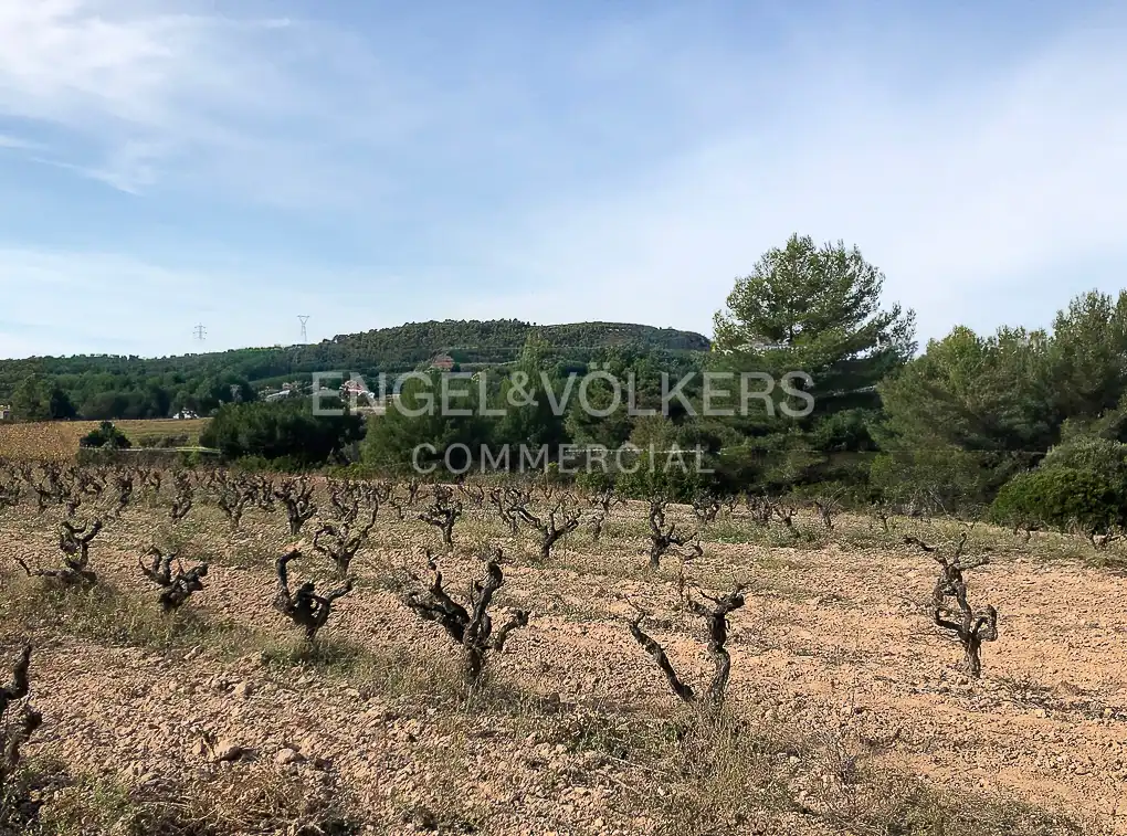 Fabrik Grundstücke zum Verkauf in Avinyonet del Penedès