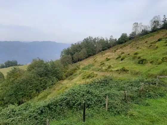 Finca rústica en venda en Aller amb Moblat