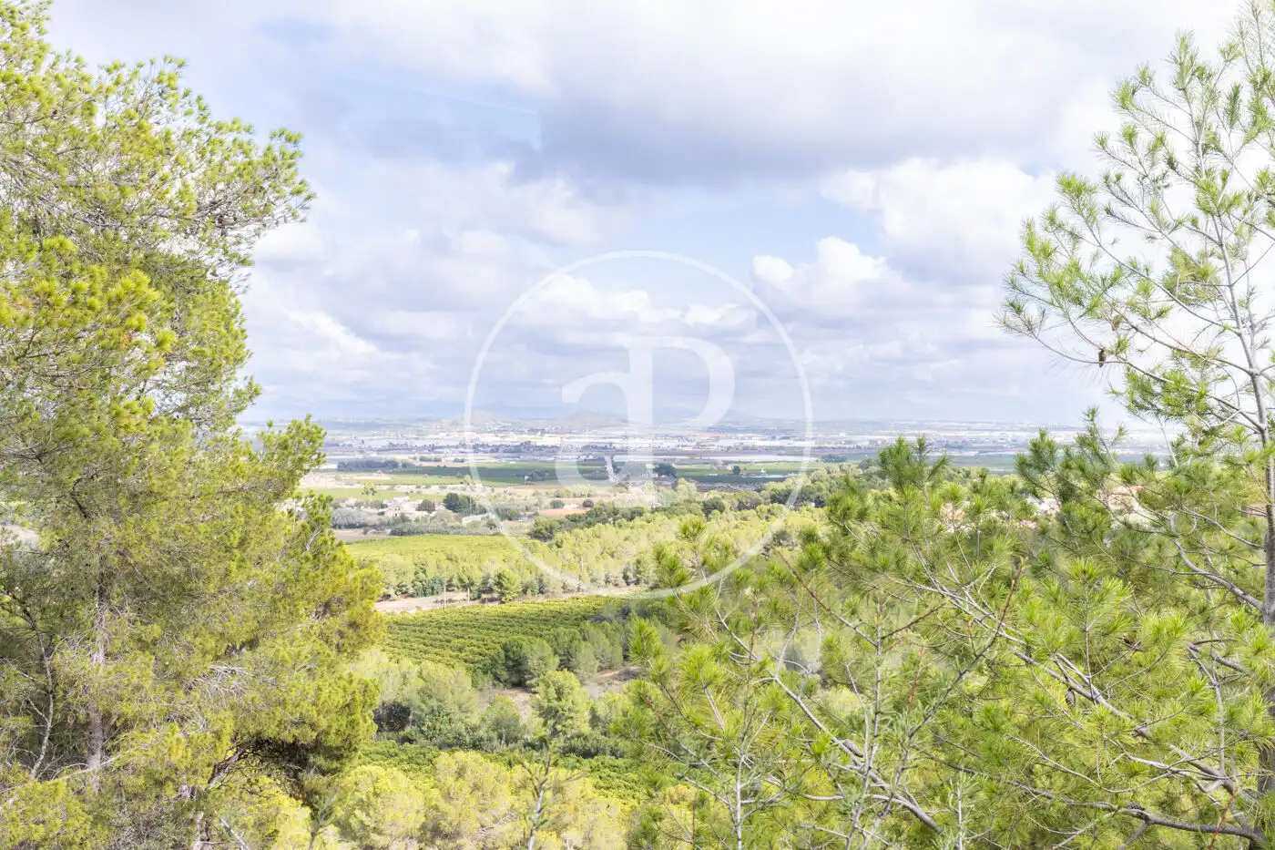 Wohnbaugrundstück zum Verkauf in El Bosque, imagen 4