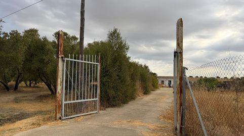 Foto 2 de Finca rústica en venta en Carretera Villar el, 4, Trigueros, Huelva