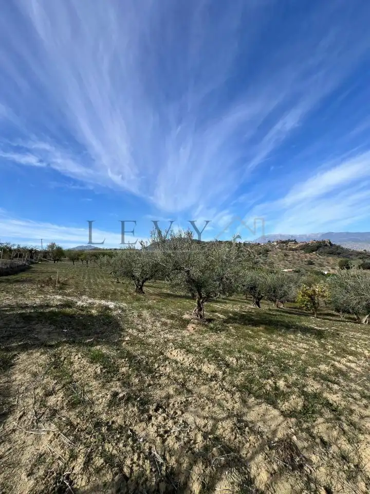 Terreno rustico in vendita a Guaro, imagen 9