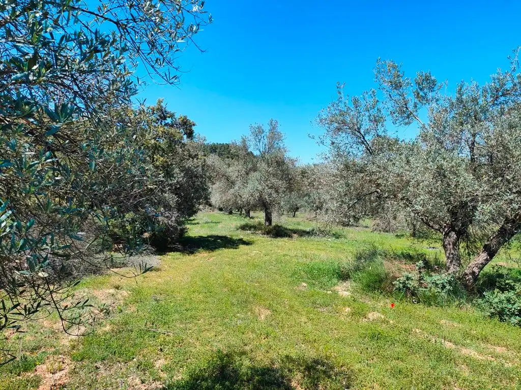 Terreni e lotti in vendita a Ráfales, imagen 9