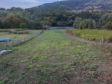 Terreno residenziale in vendita a Toén
