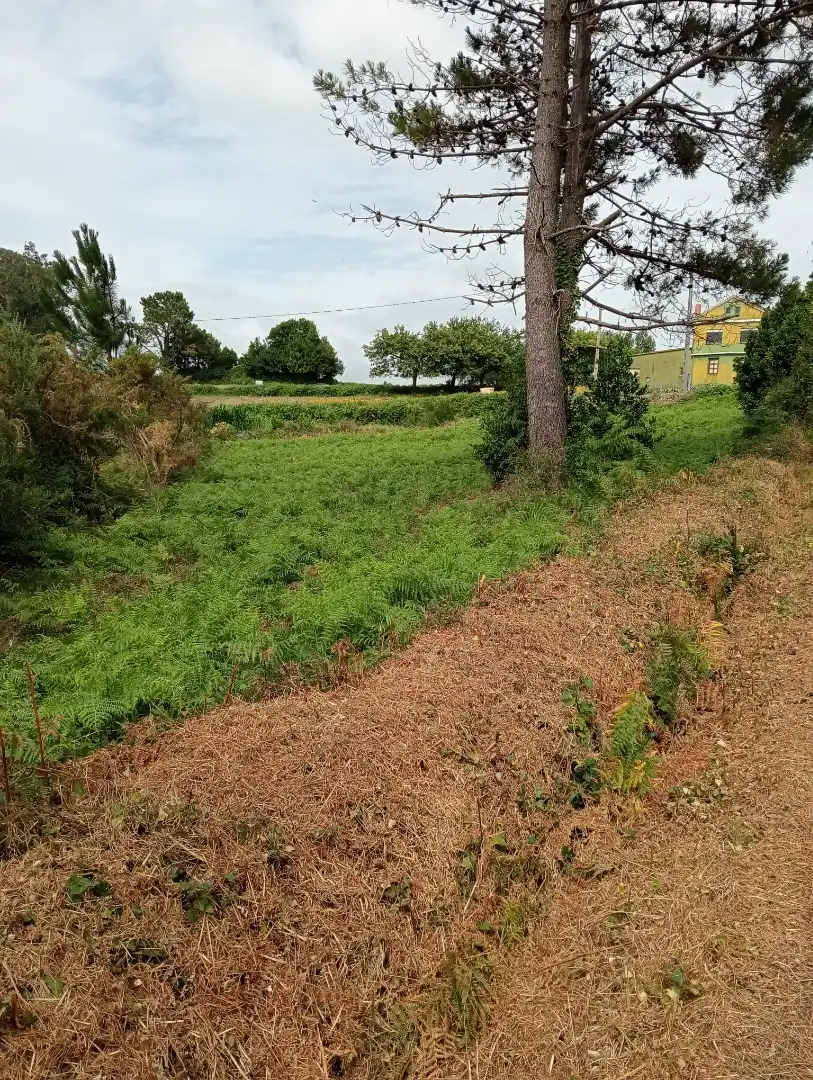 Residential for sale in Muxía