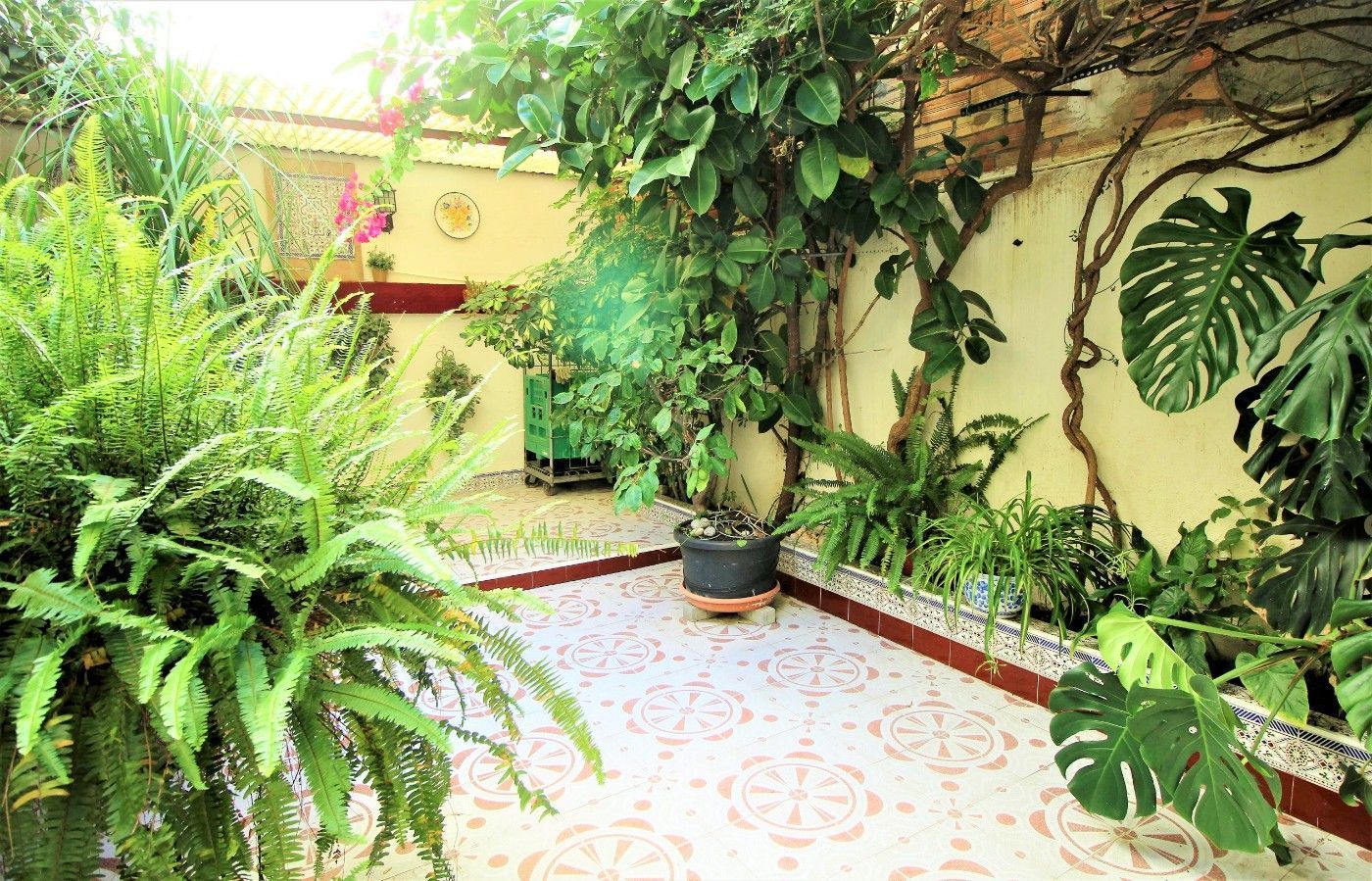 Terrace of Single-family semi-detached for sale in Sant Boi de Llobregat  with Terrace and Balcony