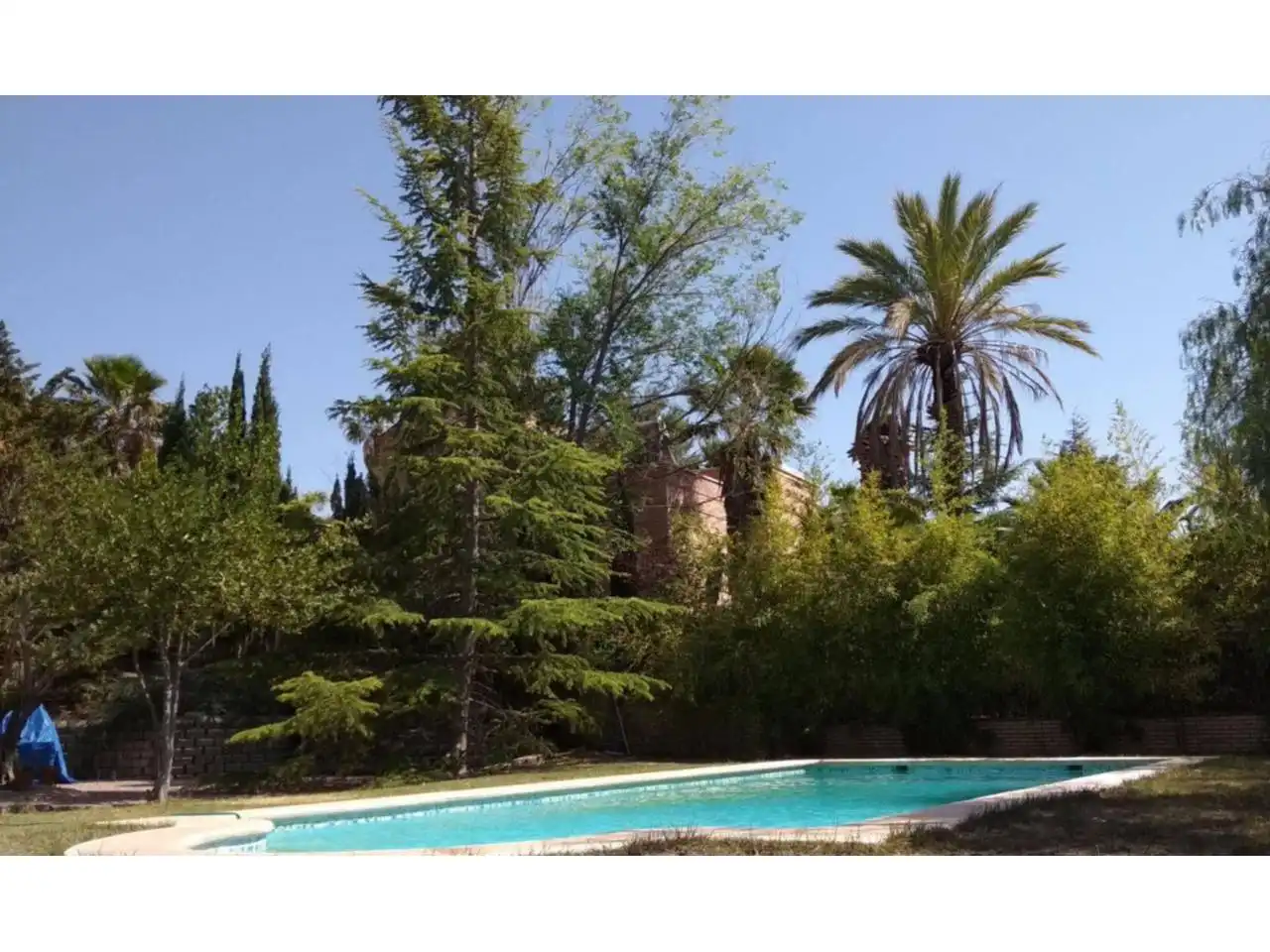 Jardín de Casa o chalet en venta en Petrer con Aire acondicionado, Calefacción y Jardín privado