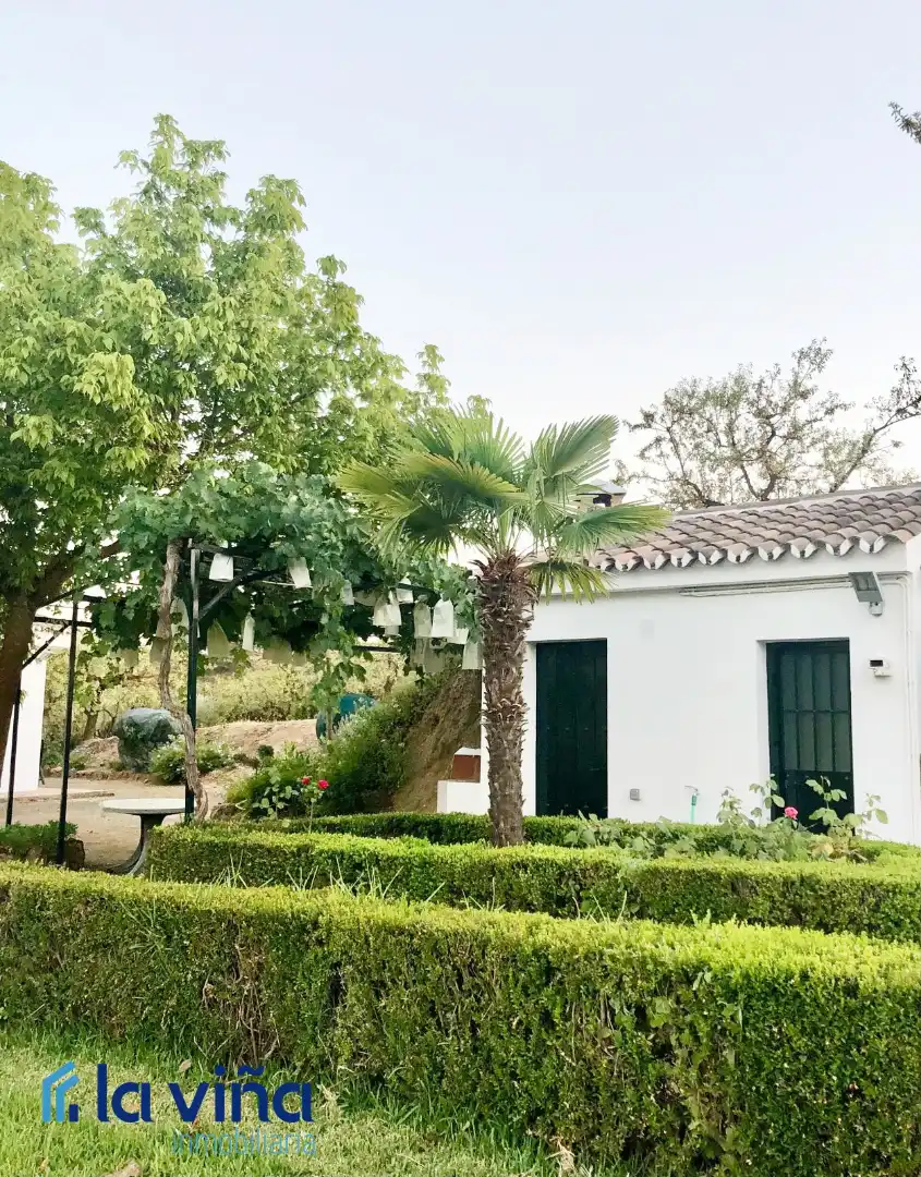 Chalet con piscina en venta en Villanueva del Rosario, imagen 3