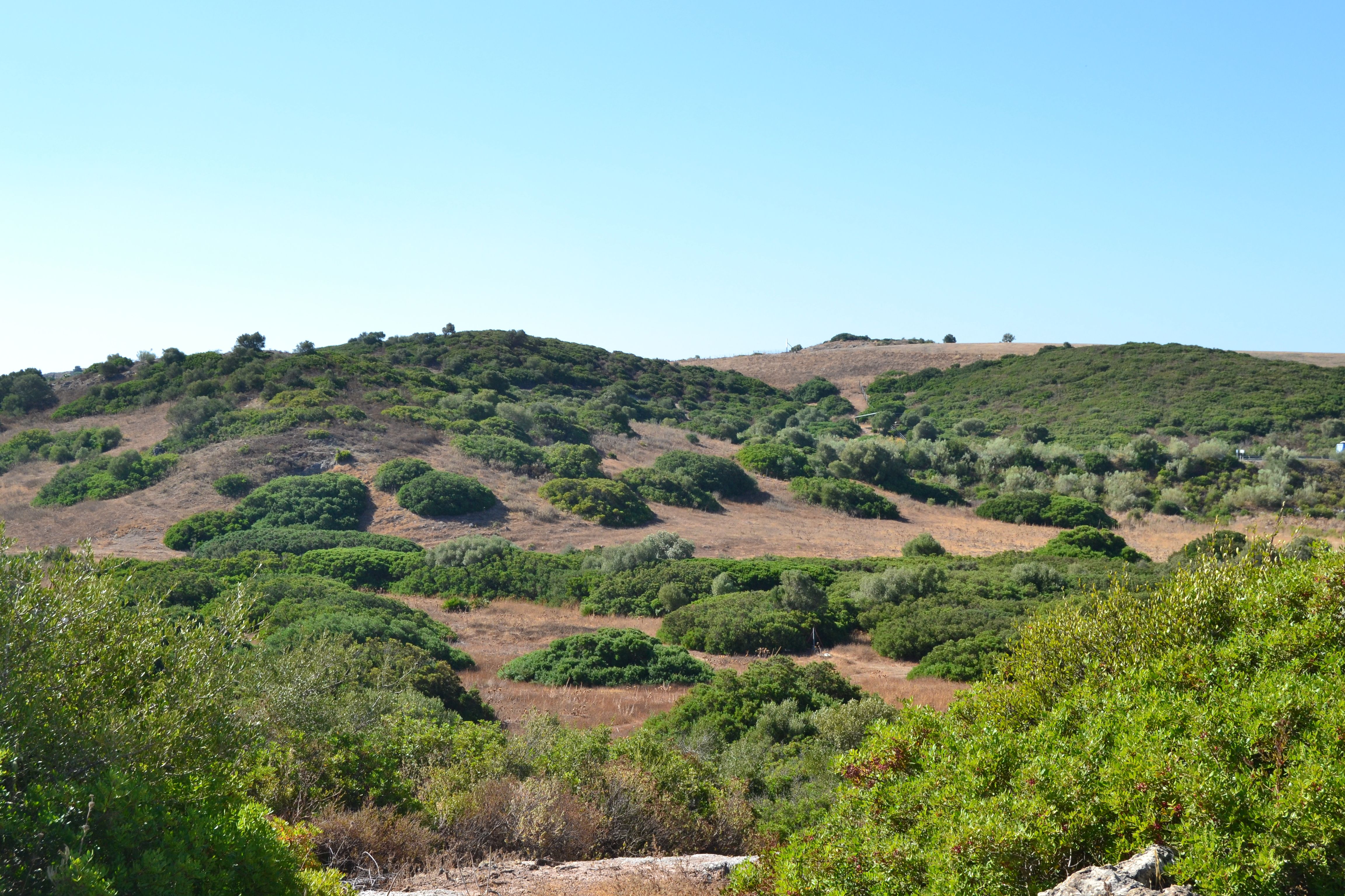 Country house zum verkauf in Medina Sidonia mit Privatgarten, Terrasse und Schwimmbad