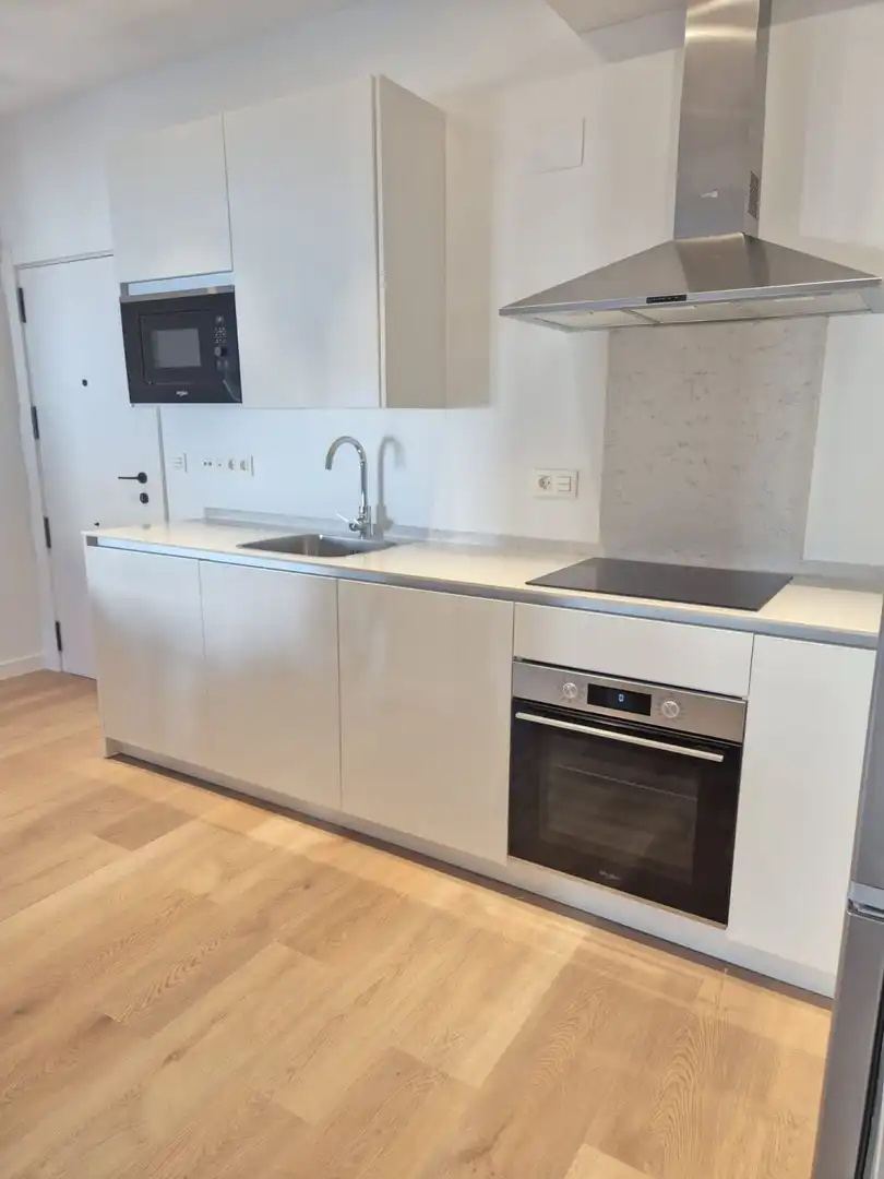 Apartament amb ascensor de lloguer a Casco Antiguo, imagen 18