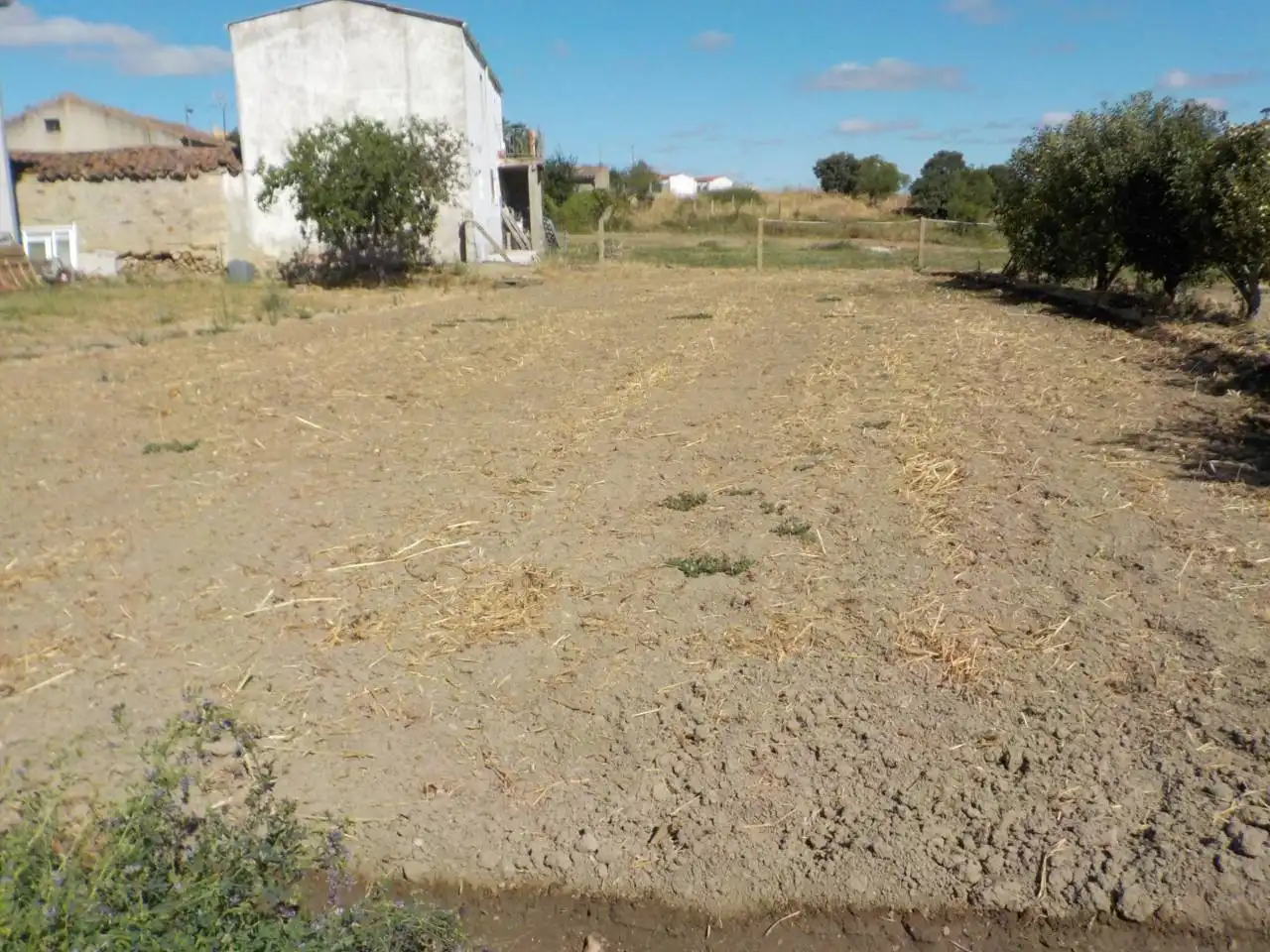 Detached house with garden for sale in Poligono 15, imagen 14