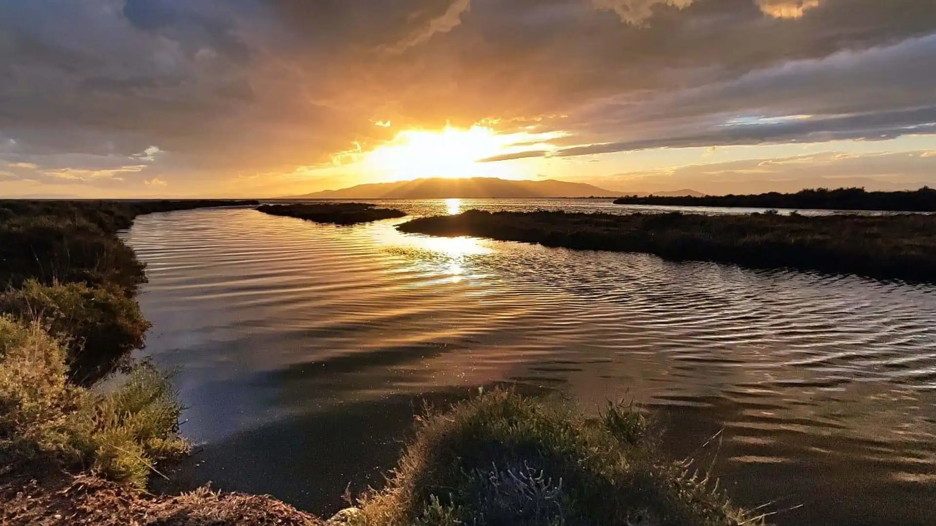 Vista exterior de Casa o chalet en venta en Amposta con Aire acondicionado, Jardín privado y Terraza