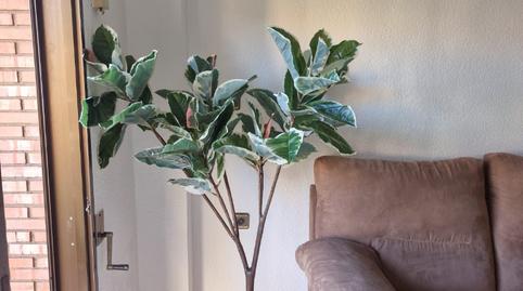 Foto 3 de Pis de lloguer a Carrer del Poeta Mas I Ros, Ciutat Jardí,  Valencia Capital