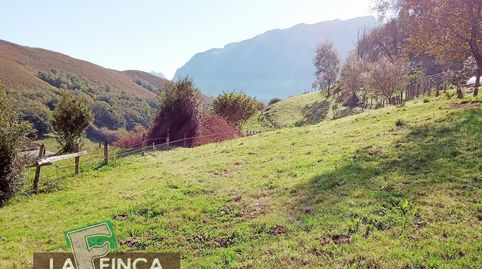 MorcínTerreno, immagine 4