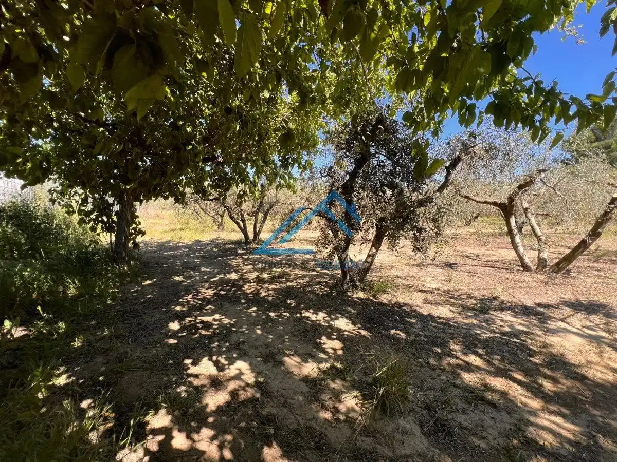 Land for sale in Vinyols i els Arcs