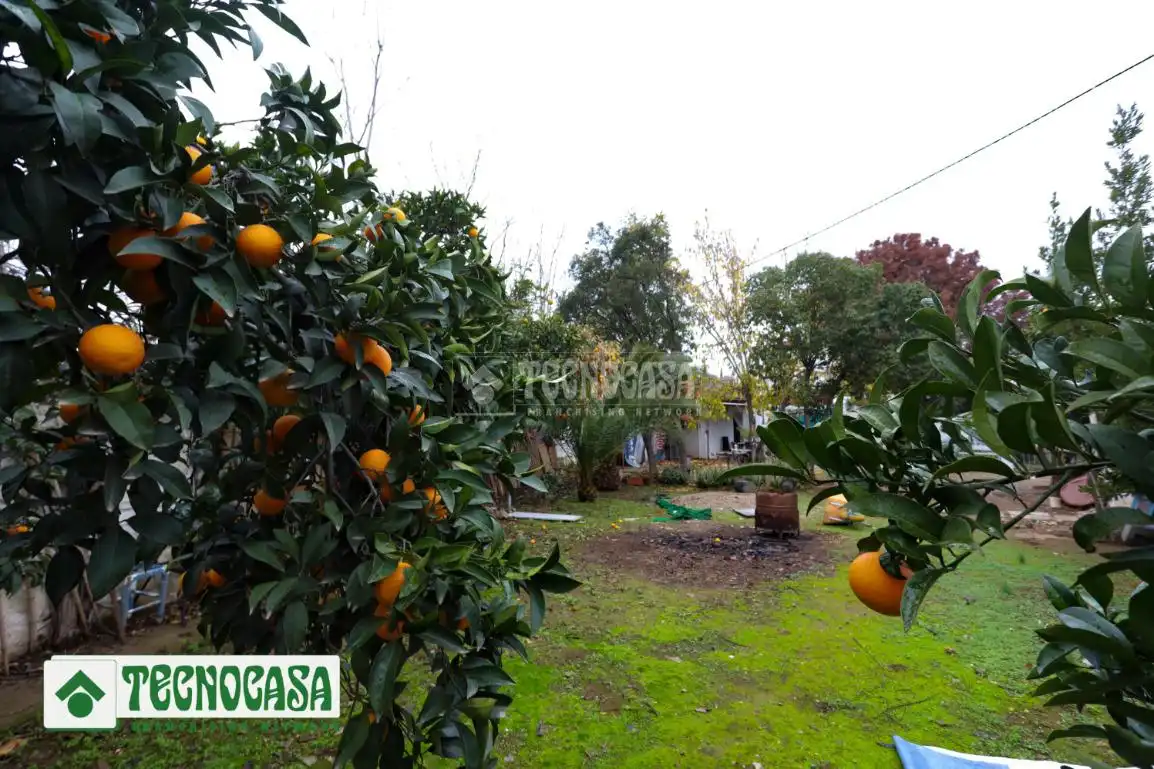 Detached homes for sale in Córdoba