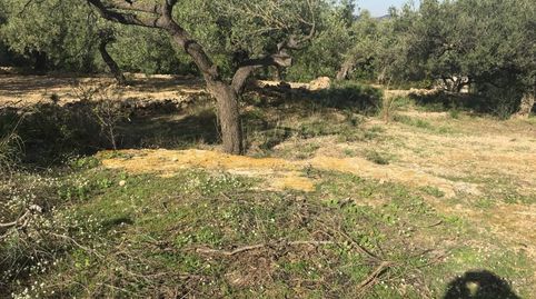 Foto 5 de Finca rústica en venda a Nord, La Ràpita