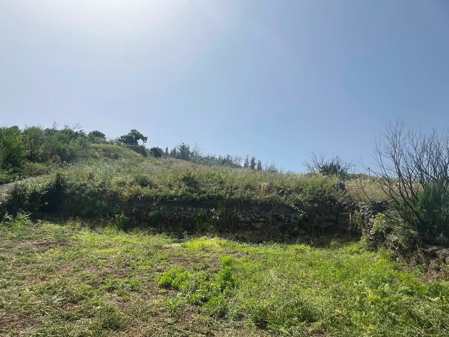 Terreno rústico en venta en Carretera Nueva Corujera, imagen 21