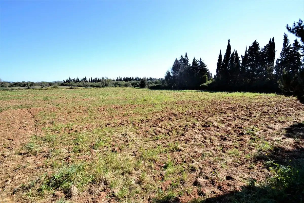 Rural land for sale in Muro, imagen 10