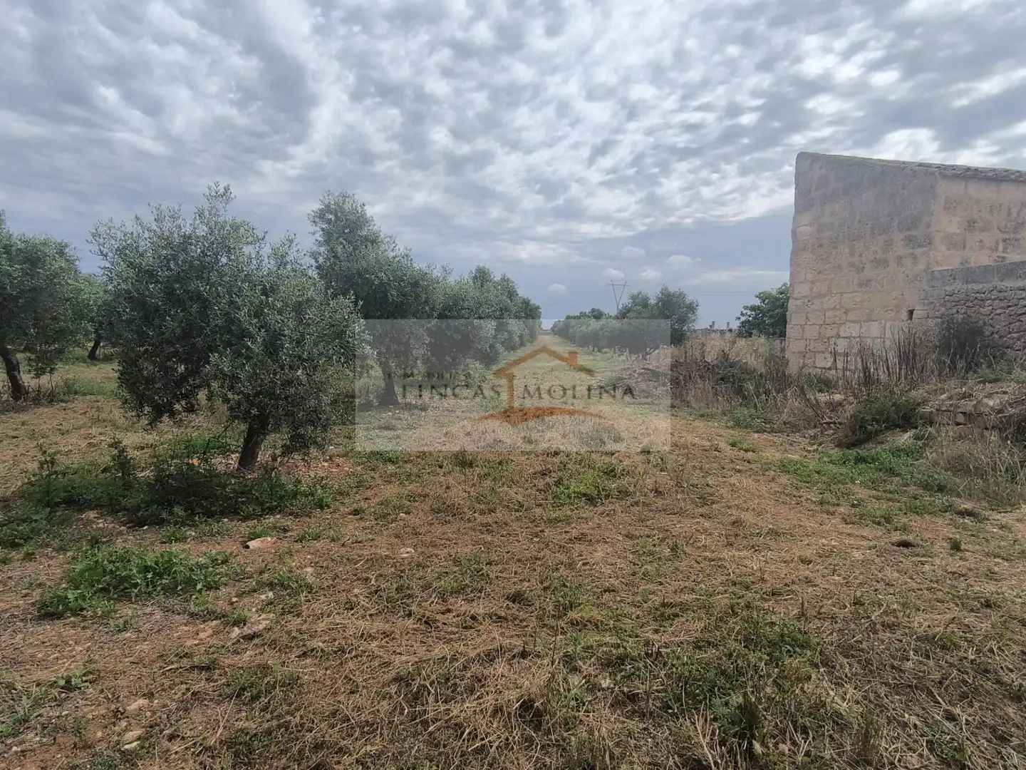 Terrenys i solars en venda a Sa Pobla, imagen 18