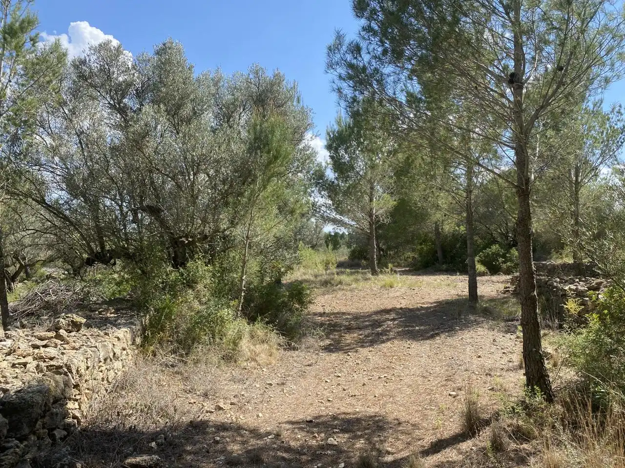 Terreno rustico in vendita a Ligallo de les Bordes