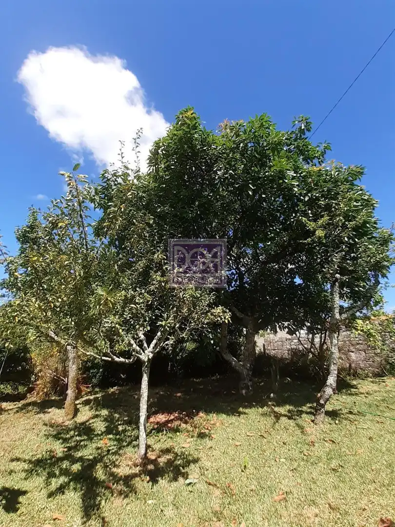 Casa con jardín en venta en Mondariz, imagen 9
