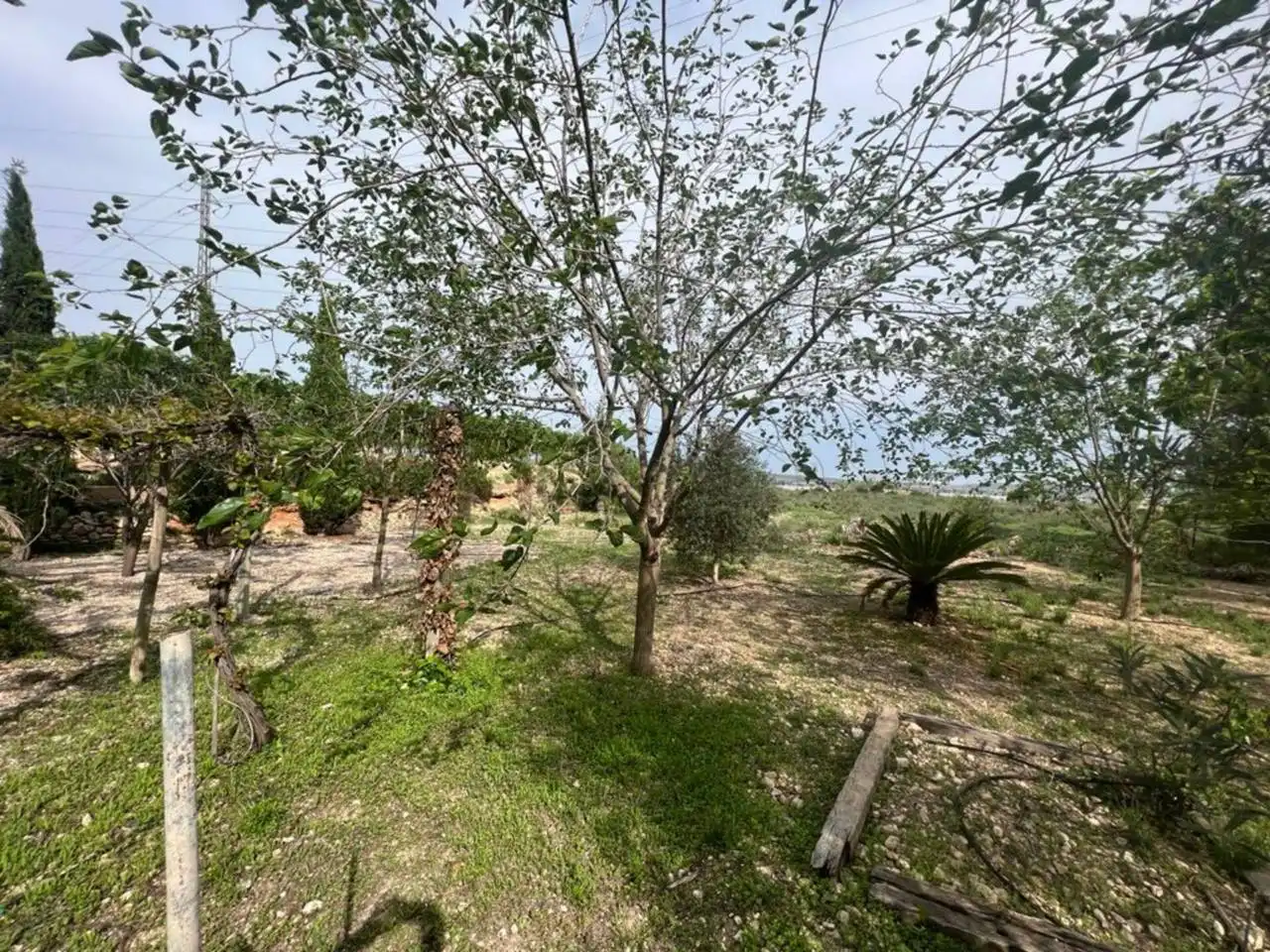Terreno rústico en venta en Monforte del Cid, imagen 55