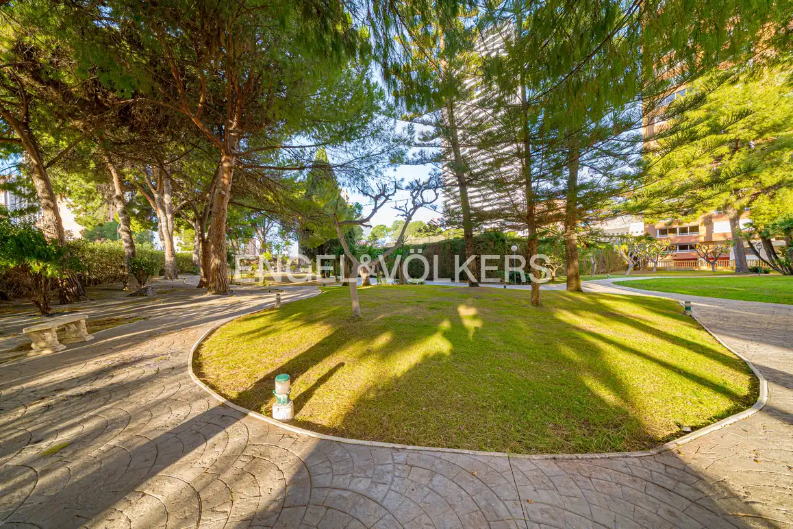 Wohnung mit Pool zur Miete in Avinguda Marina Baixa 1, imagen 35
