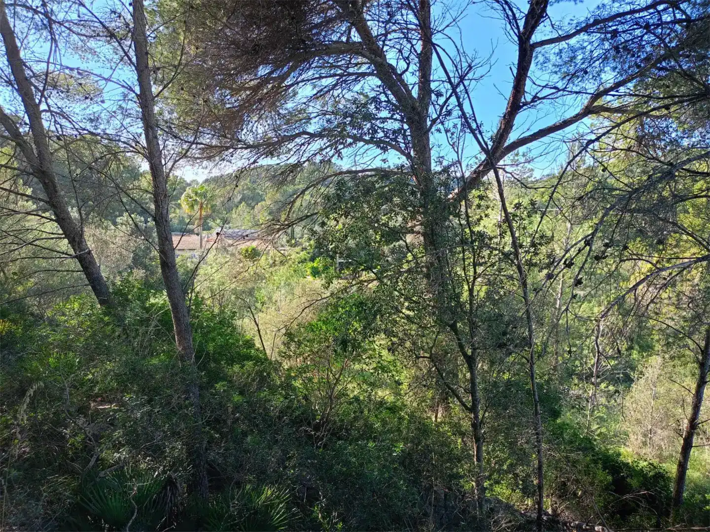 Terreno en venta en Capdepera
