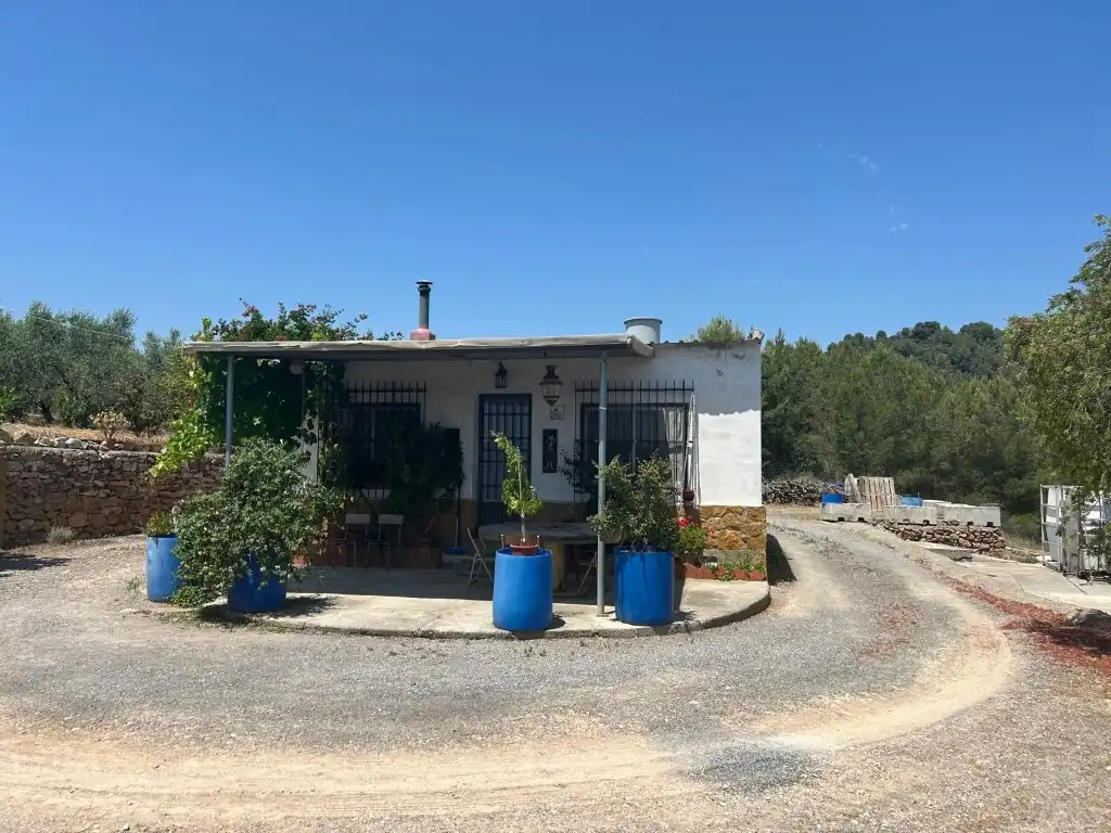 Vista exterior de Finca rústica en venta en Sot de Ferrer