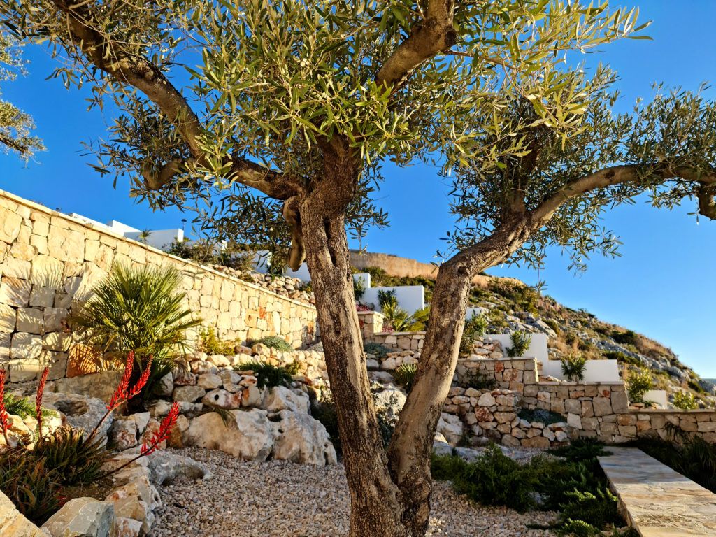 Jardí de Casa o xalet en venda en Benitachell / El Poble Nou de Benitatxell amb Aire condicionat, Calefacció i Jardí privat