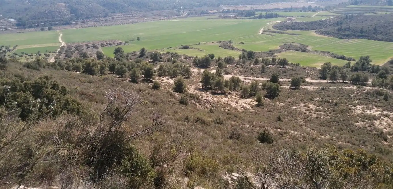 Terreno rústico en venta en Avinguda Terra Alta