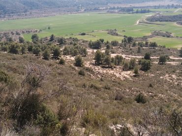 Rustikales Grundstück zum Verkauf in Avinguda Terra Alta