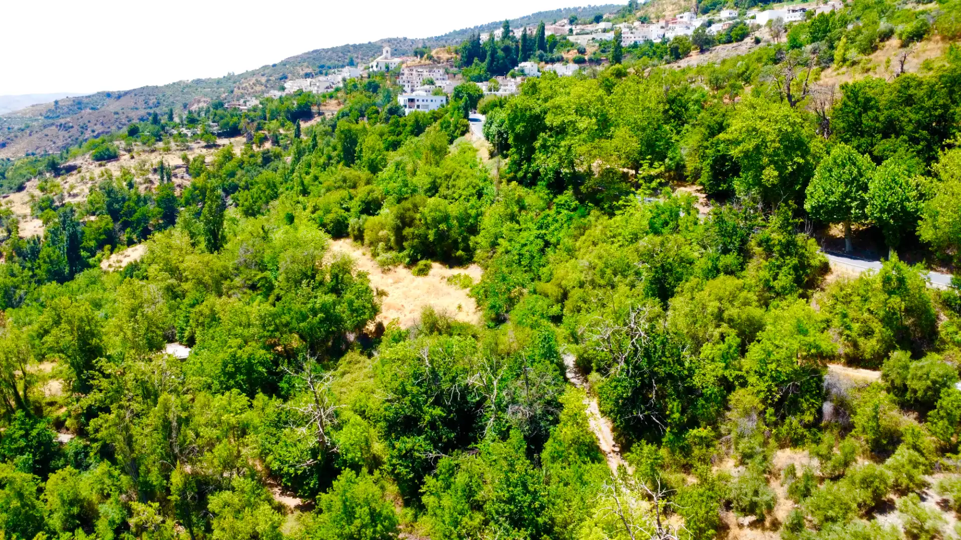 Vista exterior de Finca rústica en venta en Alpujarra de la Sierra