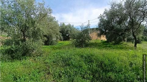 Foto 4 de Finca rústica en venda a Bédar, Almería