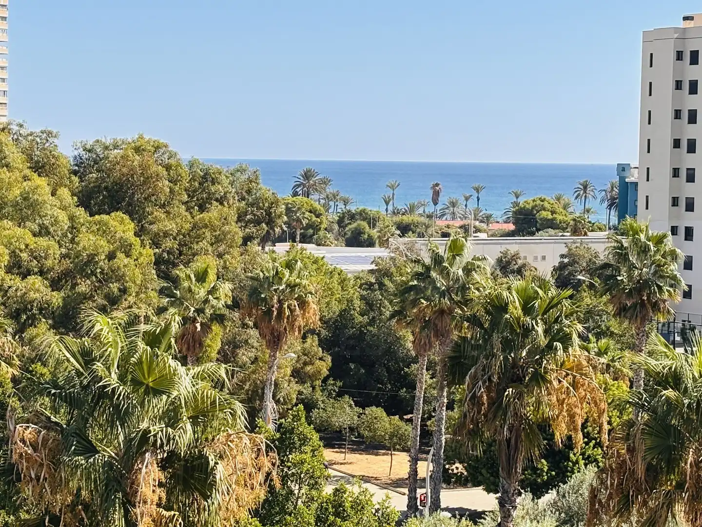 Flat for rent in Alicante / Alacant, Alicante