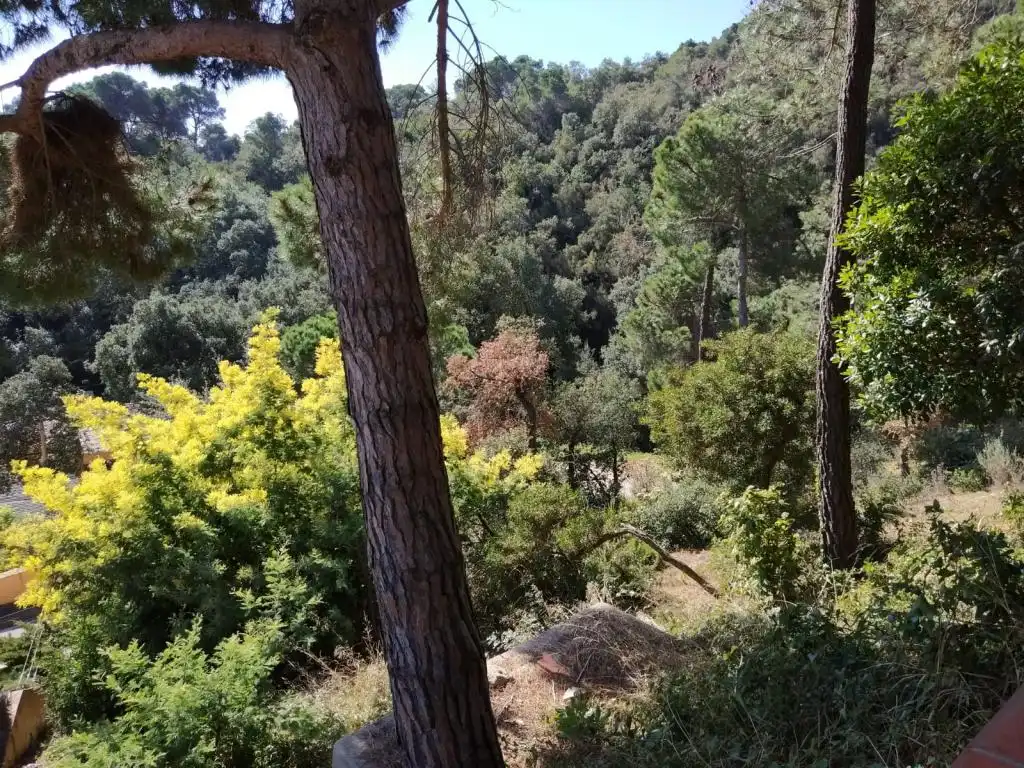 Villa avec terrasse à vendre à Clavells, imagen 12