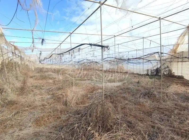 Terreno residenziale in vendita a La Guancha, imagen 18
