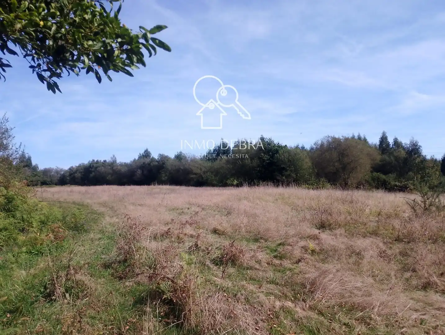 Lands and plots for sale in Soto del Barco, imagen 3